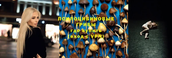 спайс Белокуриха
